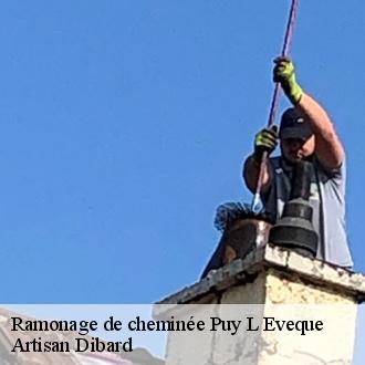 Ramonage de cheminée