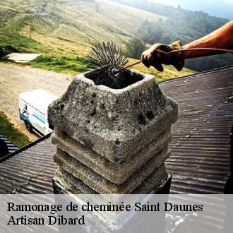 Ramonage de cheminée