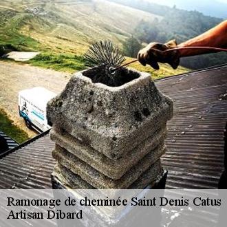 Ramonage de cheminée
