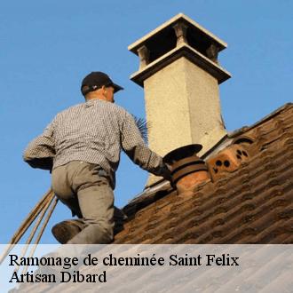 Ramonage de cheminée