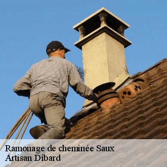 Ramonage de cheminée