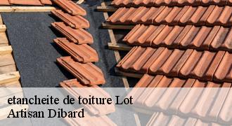 etancheite de toiture