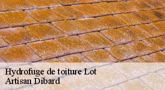 Hydrofuge de toiture