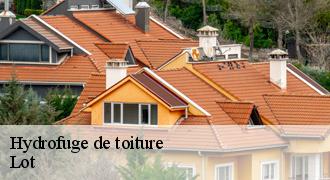 Hydrofuge de toiture