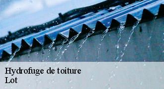 Hydrofuge de toiture
