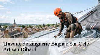 Travaux de zinguerie