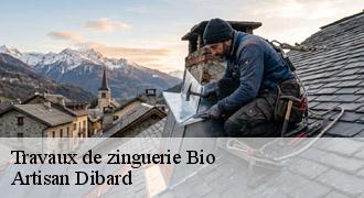 Travaux de zinguerie
