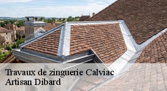 Travaux de zinguerie