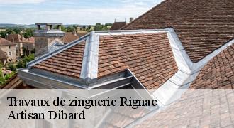 Travaux de zinguerie
