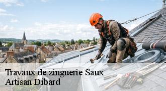 Travaux de zinguerie