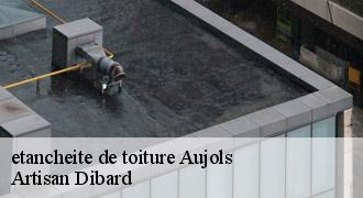 etancheite de toiture