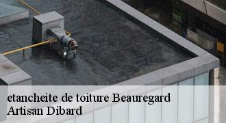 etancheite de toiture