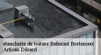 etancheite de toiture