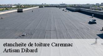 etancheite de toiture