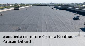 etancheite de toiture