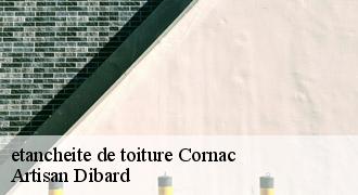 etancheite de toiture