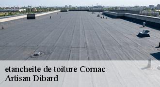 etancheite de toiture