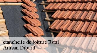 etancheite de toiture