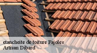 etancheite de toiture