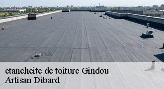 etancheite de toiture