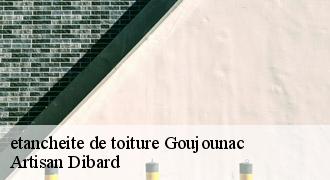 etancheite de toiture