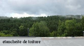 etancheite de toiture