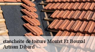etancheite de toiture