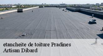 etancheite de toiture