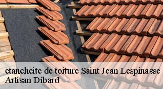 etancheite de toiture