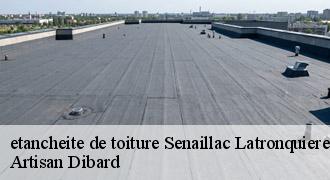etancheite de toiture