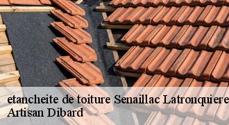 etancheite de toiture