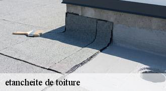 etancheite de toiture