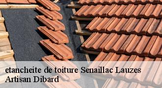 etancheite de toiture