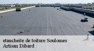 etancheite de toiture