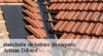 etancheite de toiture