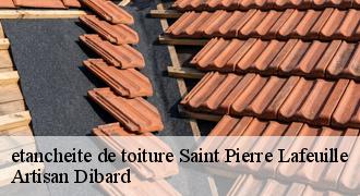 etancheite de toiture