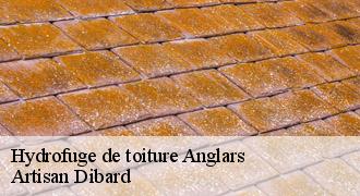 Hydrofuge de toiture