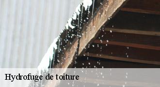 Hydrofuge de toiture