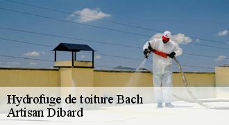 Hydrofuge de toiture