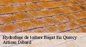Hydrofuge de toiture