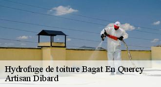 Hydrofuge de toiture