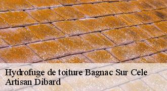 Hydrofuge de toiture
