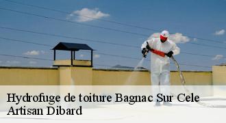 Hydrofuge de toiture