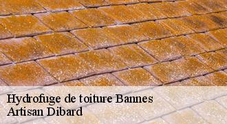 Hydrofuge de toiture