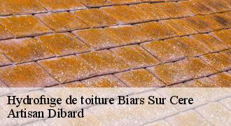 Hydrofuge de toiture