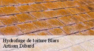 Hydrofuge de toiture