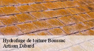 Hydrofuge de toiture