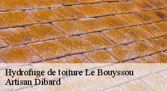 Hydrofuge de toiture