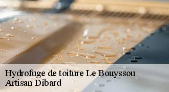 Hydrofuge de toiture