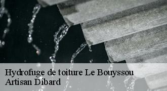 Hydrofuge de toiture